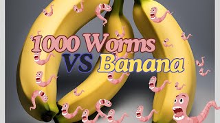 1000 Worms Vs Banana [upl. by Yolanda]