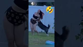 Try Not To Laugh Challenge 27 🤣 funny shorts viral [upl. by Biron]