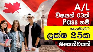 Study Abroad Scholarships for Sri Lankan Students 202324  කැනඩාවට ලක්ෂ 25ක ශිෂ්‍යත්වයක්  Canada [upl. by Ariay657]