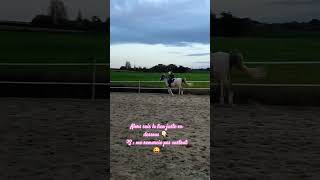 Gagne un tapis Horse République 🎁🦄💗cheval horse poney [upl. by Joete873]