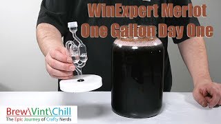 WinExpert Merlot One Gallon Day One [upl. by Fries]