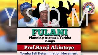 PROF BANJI AKINTOYE WARNS YORUBA KINGS YSDM Headquarters Secretary for Media and Publicity [upl. by Merril159]