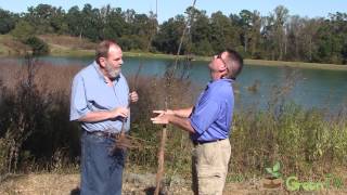 Planting Bare Root Trees  Pecan and Maple [upl. by Florri]