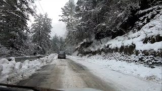 Mashobra Snowfall in Shimla  Himachal Pradesh India [upl. by Naujad]