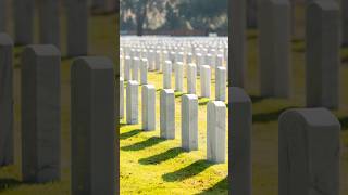 Day 302365 Beaufort National Cemetery photography beaufort history america usa art travel [upl. by Ellehciram173]