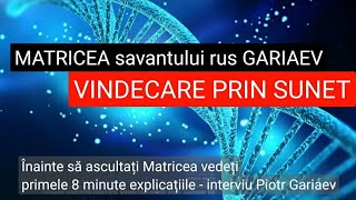 De ce a fost omrât Gariaev Matricea pentru vindecarea organelor Ajută în ameliorarea durerilor [upl. by Shaefer]