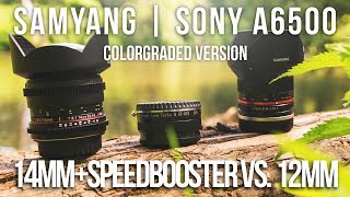 SAMYANG 14mm t31  ZHONGYI SPEEDBOOSTER vs 12mm f20  SONY A6500 A6300 A6000  COLOR GRADED  4K [upl. by Pitchford958]