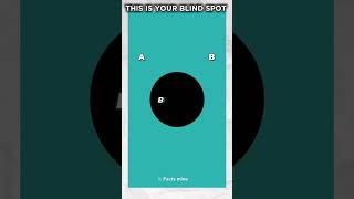 What is blind spot factscience facts blindspot virworldshorts [upl. by Nywroc]