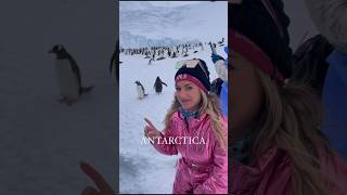 Most Expensive amp Luxury Cruise in the World Antarctica Cruise cruise antarctica amazing viral [upl. by Parker]