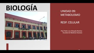 BIOLOGIA  METABOLISMO  RESPIRACION CEULAR [upl. by Dorin773]