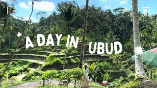 UBUD BALI Ceking Rice Terrace  BALI [upl. by Hoenack]