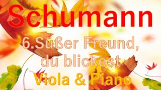 Schumann  Frauenliebe und Leben 6Süßer Freund du blickest Viola amp Piano 歌曲集「女の愛と生涯」より [upl. by Tala855]