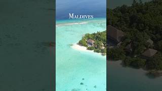 Maldives in 4K 4ktravel maldives shorts [upl. by Iliam]