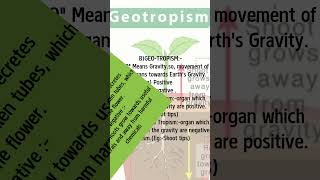 hormonal response l auxin signalling l chemotropism l pgr [upl. by Ilyssa]