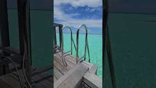 WATER Bungalow Your overwater villa in maldives lemeridien [upl. by Aniryt307]