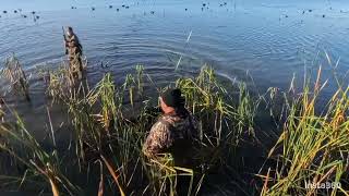 Minnesota Waterfowling quotThe Flocks Are Herequot [upl. by Rawden189]