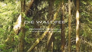 Die Waldfee Wandmalerei Illusionsmalerei [upl. by Etteneg941]