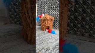 Making Bird🐦house🏠ideas by coconut🥥shell craft ideas for decoration☺️❤️birdhouse amazingartisans [upl. by Ailaht]