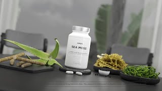 Irish Sea Moss  Bladderwrack Burdock Supplement With Vitamin C and Aloe Vera  Amen  Codeage [upl. by Alak]