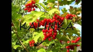 Isa chante quotKalinkaquot [upl. by Agnes]