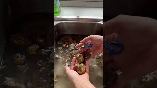 White truffles cleaning Pulizia tartufi bianchi [upl. by Omer]