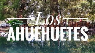 Como llegar a Los Ahuehuetes uno de los secretos naturales más bellos de México [upl. by Quick836]