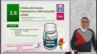 26 CÉLULAS DEL SISTEMA INMUNITARIO Y DIFERENCIACIÓN CELULAR [upl. by Anilek764]