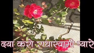 दया करो राधास्वामी प्यारेहुज़ूर स्वामी जी महाराजDaya Karo RadhaSwami PyareWith LYRICSRSSB Shabad [upl. by Ecnatsnok]