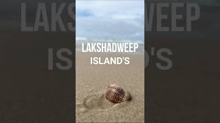 Lakshadweep Island travel travellerchori youtube [upl. by Kalasky]