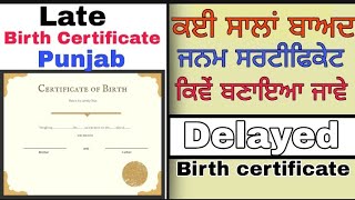 Delayed Birth Certificate In Punjab  Late Certificate In Punjab  After Some Year How to make [upl. by Hailee436]