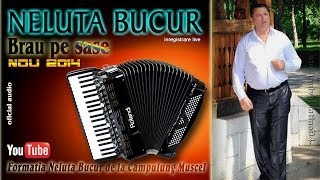 NELUTA BUCUR  Brau pe sase live audio [upl. by Maxia]