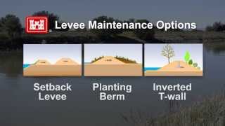 Levee Safety in Californias Central Valley Levee Vegetation [upl. by Tol684]