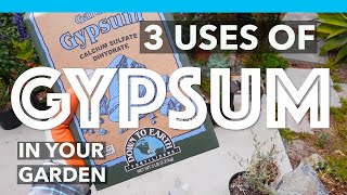 3 Uses amp Benefits of adding GYPSUM to your Garden soil [upl. by Ragouzis]