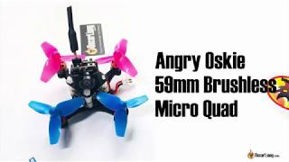 FPV Racing in your living room  Angry Oskie 59mm Brushless Micro Quad [upl. by Sumer]