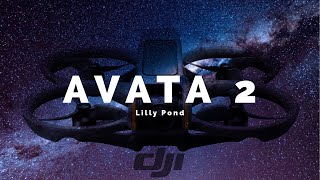 DJI Avata 2  Lilly Pond [upl. by Nata]