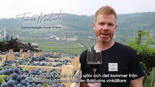 Masi Brolo Campofiorin – Selected for Viking Line by Tuomas Meriluoto Master of Wine [upl. by Asaph]