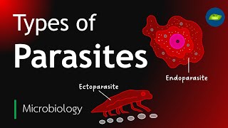 Types of Parasites  Classification of parasites  Microbiology  Basic science Series [upl. by Stanway]