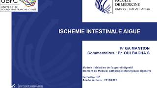 Ischémie intestinale aigue [upl. by Donahoe381]