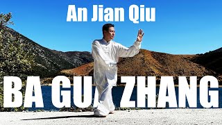 Ba Gua Zhang  An Jian Qiu [upl. by Acinorehs]