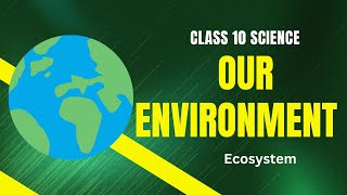 Our environment class 10 part1 ecosystem [upl. by Forster]