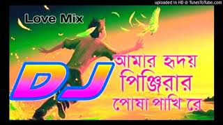 Amar Hridoy o Pingirar Posha pakhi Re Bangla New Song DJ Remix [upl. by Tully367]