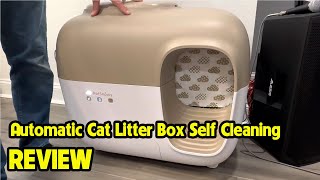 PetSnowy Cat Litter Box Self Cleaning Litter Box REVIEW [upl. by Bonnie598]