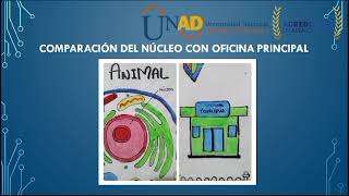 COMPARACION DE LA CELULA ANIMAL CON UNA FABRICA DE PRODUCCION [upl. by Sasnett]