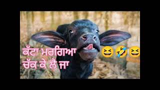 katta margea chak ke le ja funny punjabi audio [upl. by Sherrill]