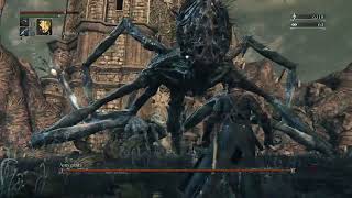 Bloodborne Amygdala Boss Fight First Try [upl. by Lipkin752]