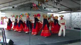 Baile de Michoacan [upl. by Vasili]