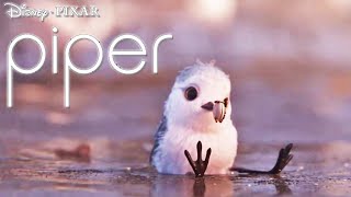 piper short film by disney pixar [upl. by Ardnohsal]