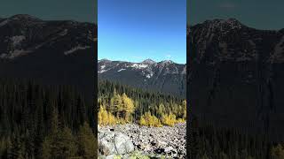 Pasayten Peak from Windy Pass pasaytenwilderness larches pacificcresttrail [upl. by Dlorad]