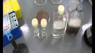 Quality Assurance Testing of Inoculants  Becker Underwood [upl. by Ellerd]