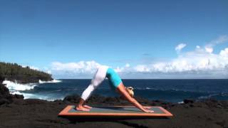 Vinyasa Flow Yoga Class for Beginners [upl. by Mosi]